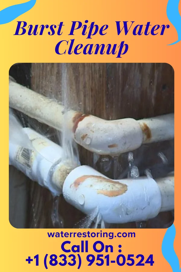 Burst Pipe Water Cleanup in West Liberty, OH