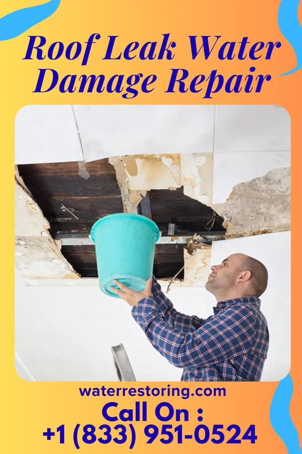 Roof Leak Water Damage Repair in West Liberty, OH