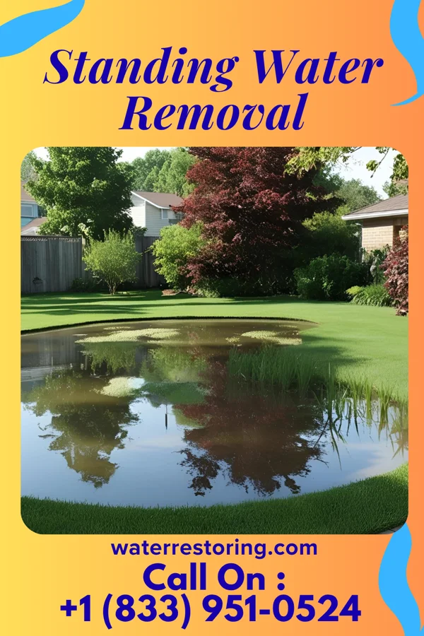 Standing Water Removal in West Liberty, OH